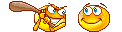 aua